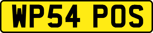 WP54POS