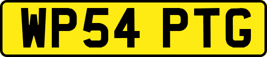 WP54PTG