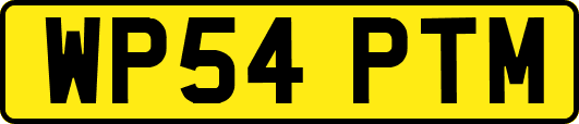 WP54PTM