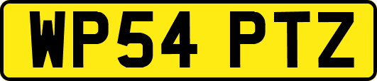 WP54PTZ