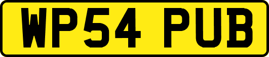 WP54PUB