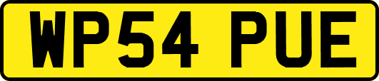 WP54PUE