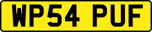 WP54PUF