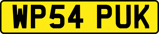WP54PUK