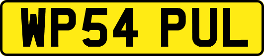 WP54PUL