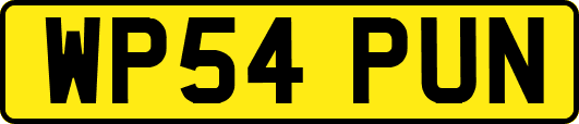 WP54PUN