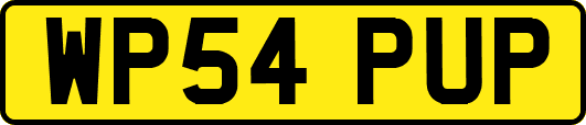 WP54PUP
