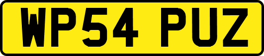 WP54PUZ