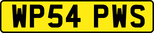 WP54PWS