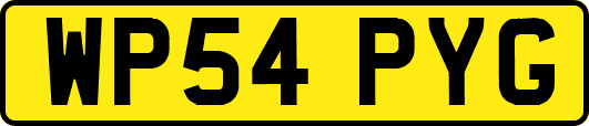 WP54PYG