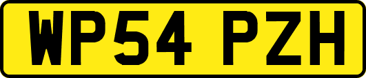 WP54PZH