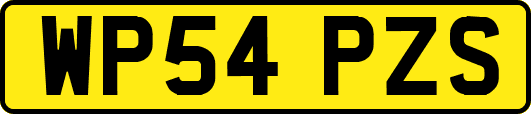 WP54PZS