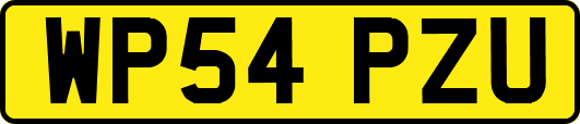 WP54PZU