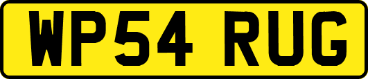 WP54RUG