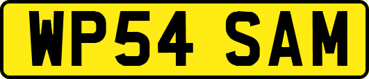 WP54SAM