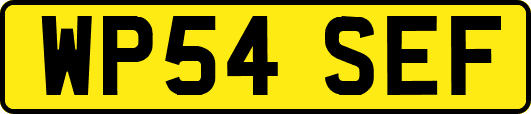 WP54SEF