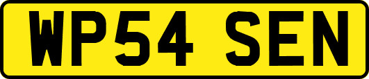 WP54SEN