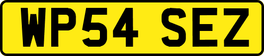 WP54SEZ