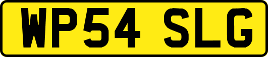 WP54SLG