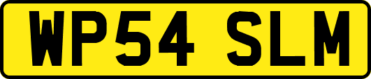 WP54SLM