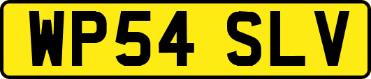 WP54SLV