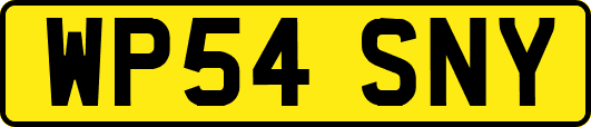 WP54SNY