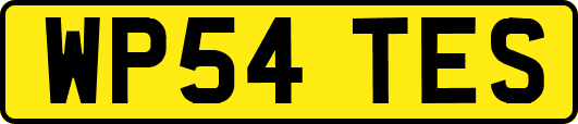 WP54TES