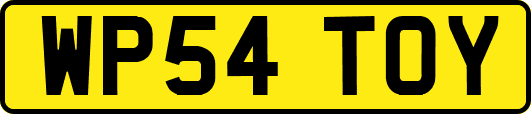 WP54TOY
