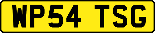 WP54TSG