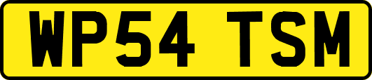 WP54TSM