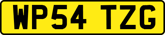 WP54TZG
