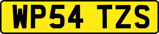 WP54TZS