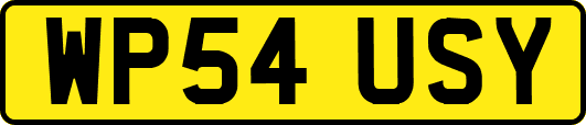 WP54USY