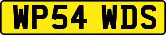 WP54WDS