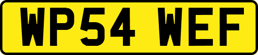 WP54WEF