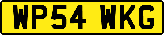 WP54WKG