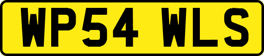 WP54WLS