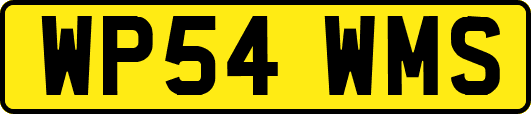 WP54WMS