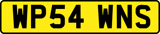 WP54WNS