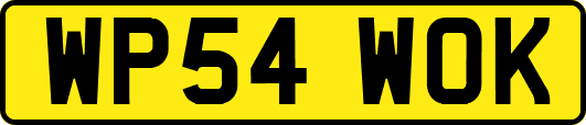 WP54WOK