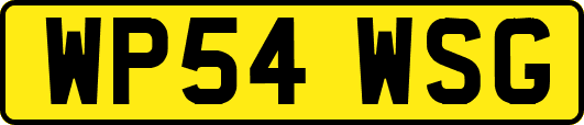 WP54WSG