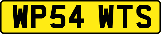 WP54WTS