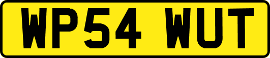 WP54WUT