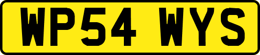 WP54WYS