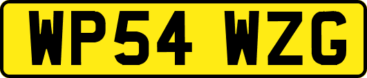 WP54WZG