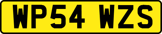 WP54WZS