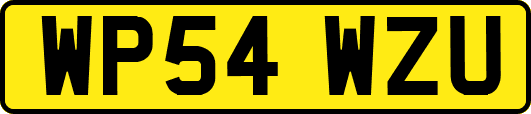 WP54WZU