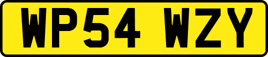 WP54WZY