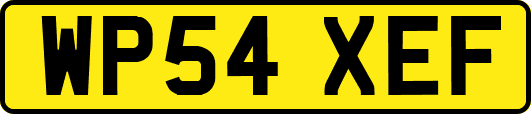 WP54XEF