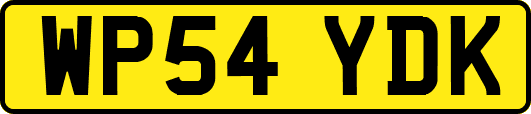 WP54YDK